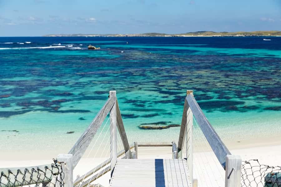 From Fremantle: Rottnest Island Ferry & Bus Day Tour - Quokkas, beaches, and the art of using free time