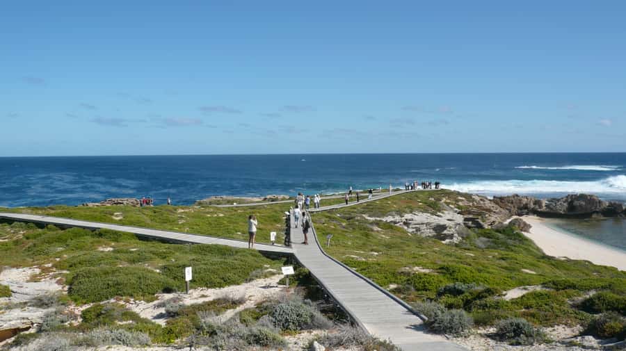 From Fremantle: Rottnest Island Ferry & Bus Day Tour - Leaving Fremantle on the Rottnest Express