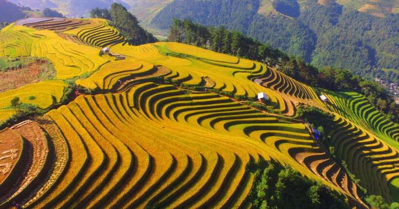 From Hanoi: 1-day Sapa Trekking Tour With Overnight Bus - Lao Chai and the Black H’mong villages