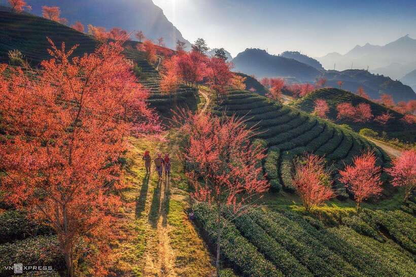 From Hanoi: 1-day Sapa Trekking Tour With Overnight Bus - Lunch at Ta Van homestay