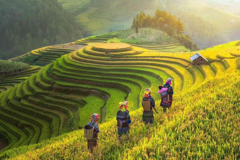 From Hanoi: 1-day Sapa Trekking Tour With Overnight Bus - What the $52 price covers