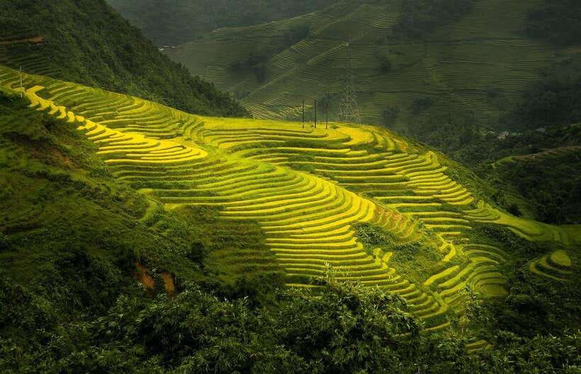 From Hanoi: 1-day Sapa Trekking Tour With Overnight Bus - Arriving in Sapa before sunrise