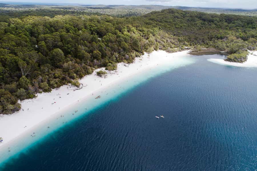 From Hervey Bay: K'gari, Fraser Island Full-Day Coach Tour - A full day from Hervey Bay to K’gari