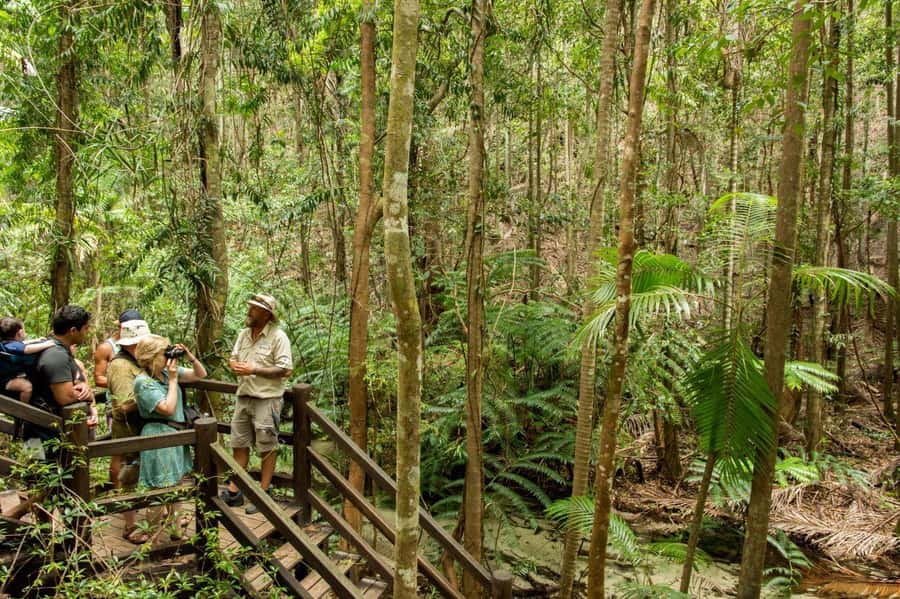 From Hervey Bay: K'gari, Fraser Island Full-Day Coach Tour - Central Station and the Wanggoolba Creek boardwalk