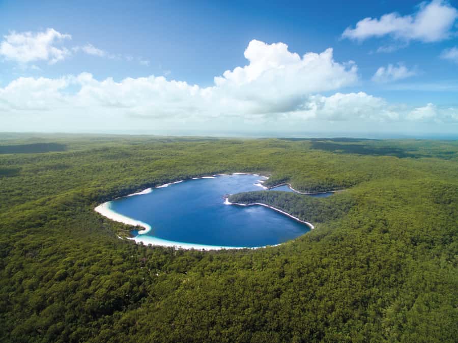 From Hervey Bay: K'gari, Fraser Island Full-Day Coach Tour - Lake McKenzie gives the day its wow moment