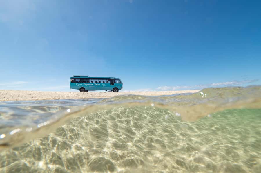 From Hervey Bay: K'gari, Fraser Island Full-Day Coach Tour - 75 Mile Beach and the Maheno Shipwreck