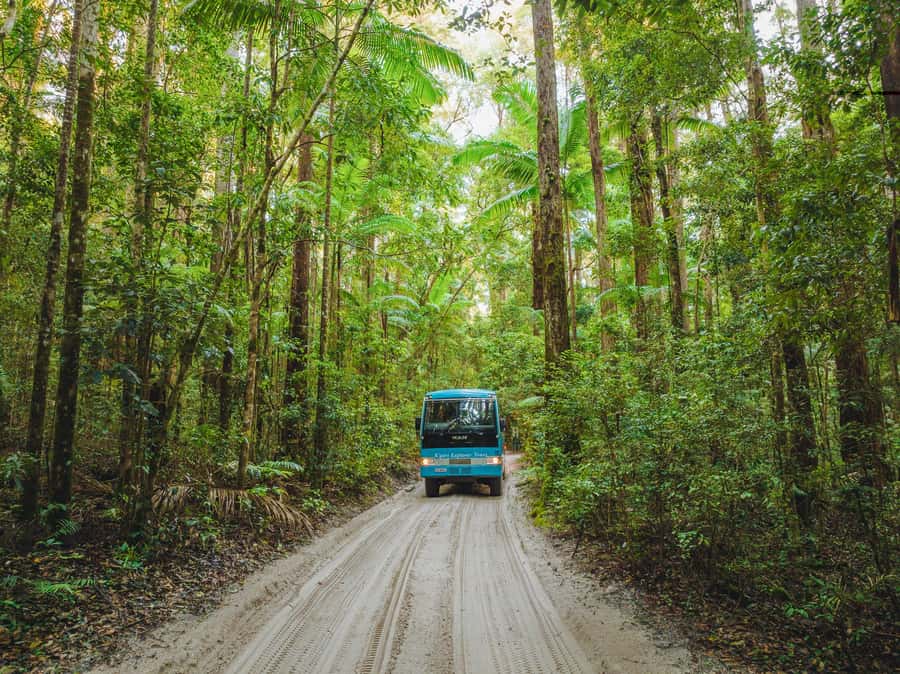 From Hervey Bay: K'gari, Fraser Island Full-Day Coach Tour - Guides make a big difference