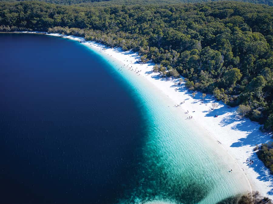 From Hervey Bay: K'gari, Fraser Island Two-Day Coach Tour - Key points to know before you book