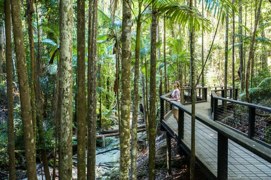 From Hervey Bay: K'gari, Fraser Island Two-Day Coach Tour - Crossing from Hervey Bay to the island