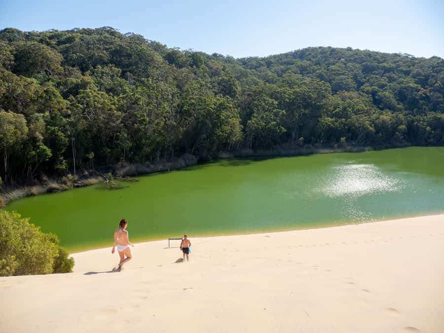 From Hervey Bay: K'gari Getaway Three-day 4WD Coach Tour - Pile Valley and K’gari’s rainforest