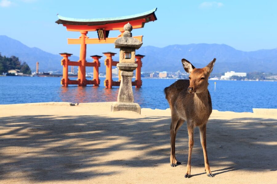 From Hiroshima: Hiroshima & Miyajima 1 Day Tour with Lunch - Itsukushima Shrine and the floating torii gate