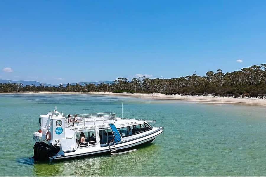 From Hobart: Day Tour to Maria Island with Bus Connection - From Brooke Street Pier to Triabunna
