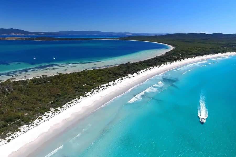 From Hobart: Day Tour to Maria Island with Bus Connection - Lunch near Riedle and Shoal Bay