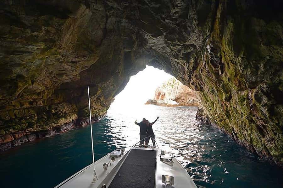 From Hobart: Day Tour to Maria Island with Bus Connection - Meeting the wombats