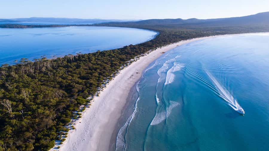From Hobart: Day Tour to Maria Island with Bus Connection - Crew, commentary, and boat comfort