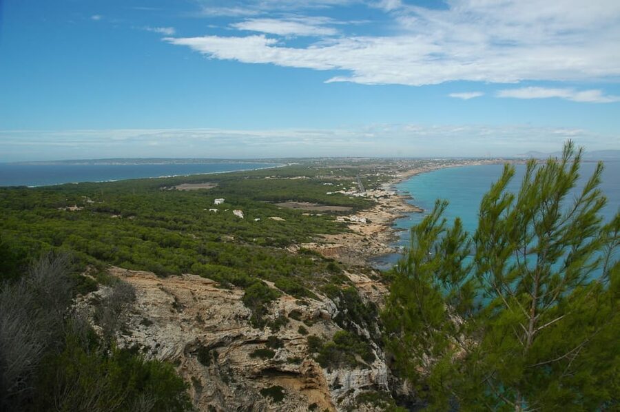 From Ibiza: Ferry and Guided Bus Excursion in Formentera - A practical day trip across Formentera