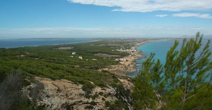 From Ibiza: Ferry and Guided Bus Excursion in Formentera - The Mirador and Formentera from above