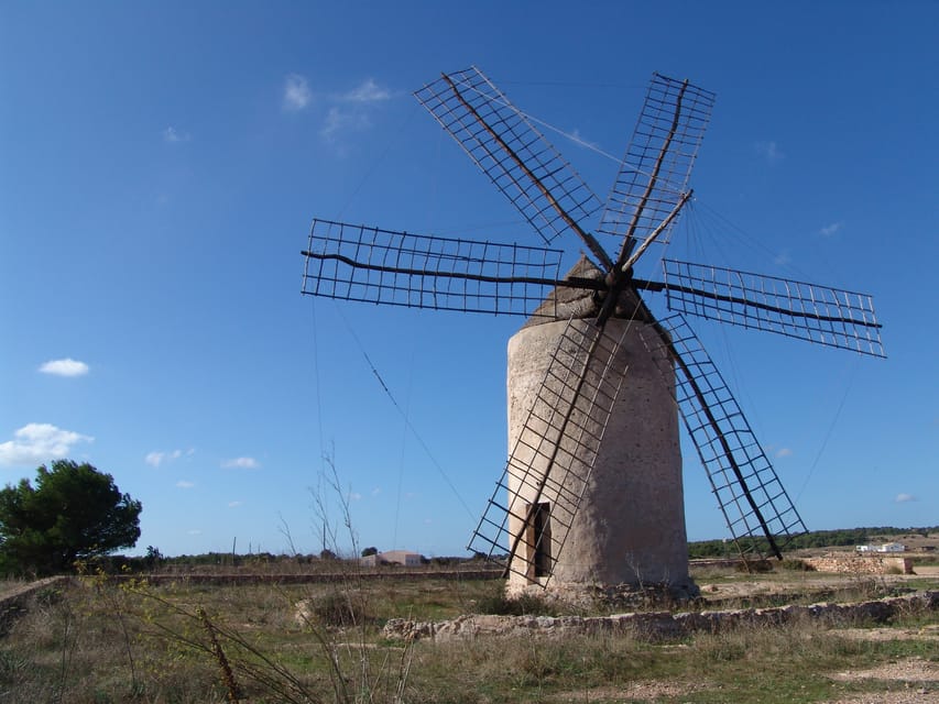 From Ibiza: Ferry and Guided Bus Excursion in Formentera - La Mola lighthouse in about 30 minutes