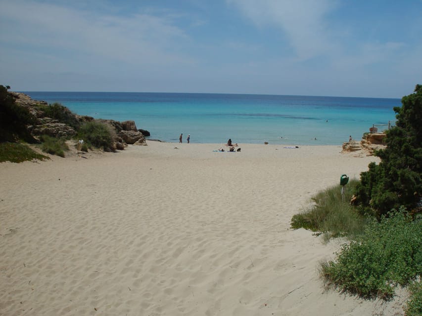 From Ibiza: Ferry and Guided Bus Excursion in Formentera - Las Salinas and the return to La Savina