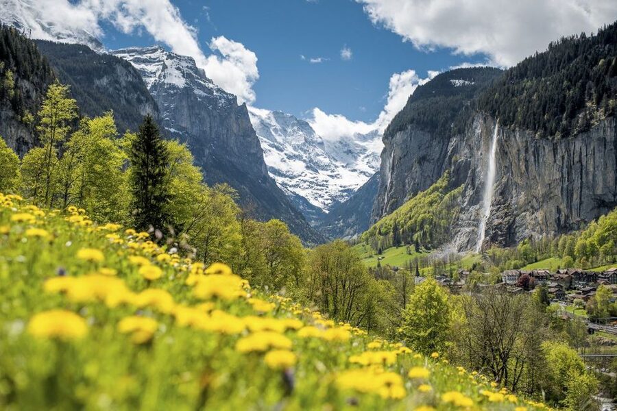 From Interlaken: Guided Tour to Jungfraujoch - Top of Europe - What the guide adds to an otherwise complicated trip