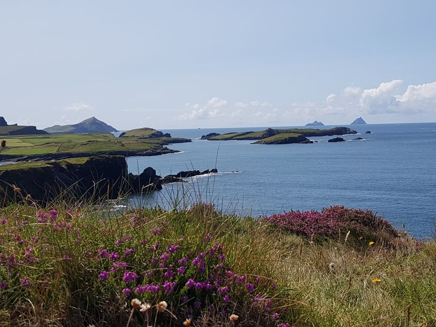 From Killarney: 'Ring of Kerry' Mountain Road 1-Day Bus Tour - Bus size, comfort, and timing