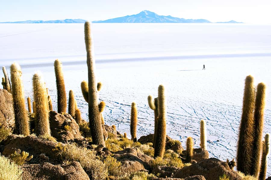 From La Paz: Uyuni Salt Flat Tour & Overnight Roundtrip Bus - Why the Uyuni Salt Flats are worth the long ride