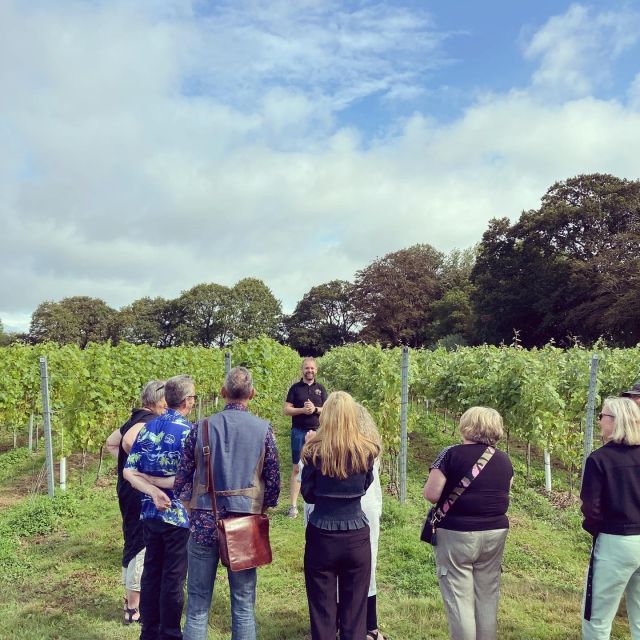 From London: Vintage Bus Wine Tour with Return Train Tickets - Should you book the Sussex vintage bus wine tour?