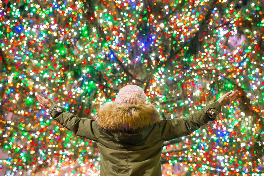 From Manhattan: 4-Hour Christmas Lights Luxury Bus Tour - What $95 gets you