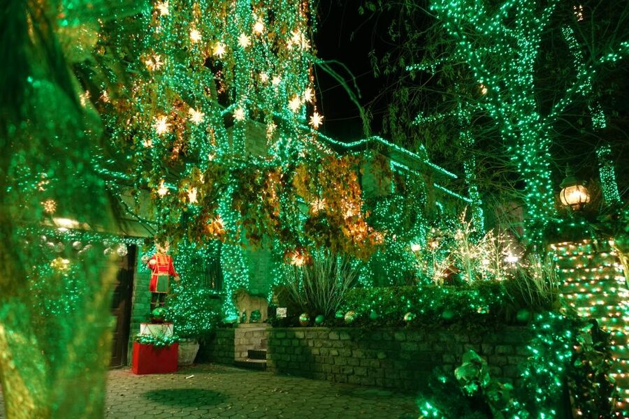 From Manhattan: 4-Hour Christmas Lights Luxury Bus Tour - Weather, crowds, and the best way to prepare