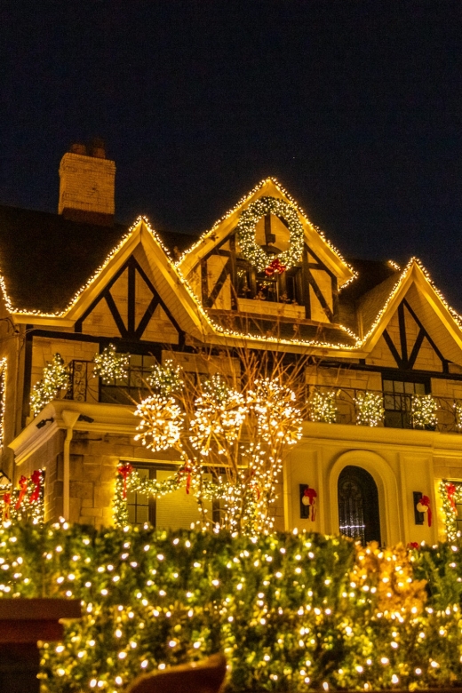 From Manhattan: 4-Hour Dyker Heights Holiday Lights Bus Tour - Cold weather, crowds, and walking pace