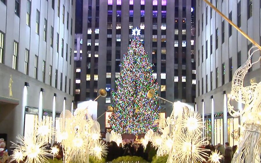 From Manhattan: Dyker Heights Lights & Skyline Tour - Walking through Dyker Heights displays
