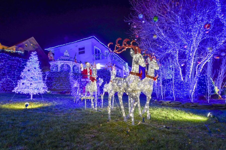 From Manhattan: Dyker Heights Lights & Skyline Tour - Is $55 good value?
