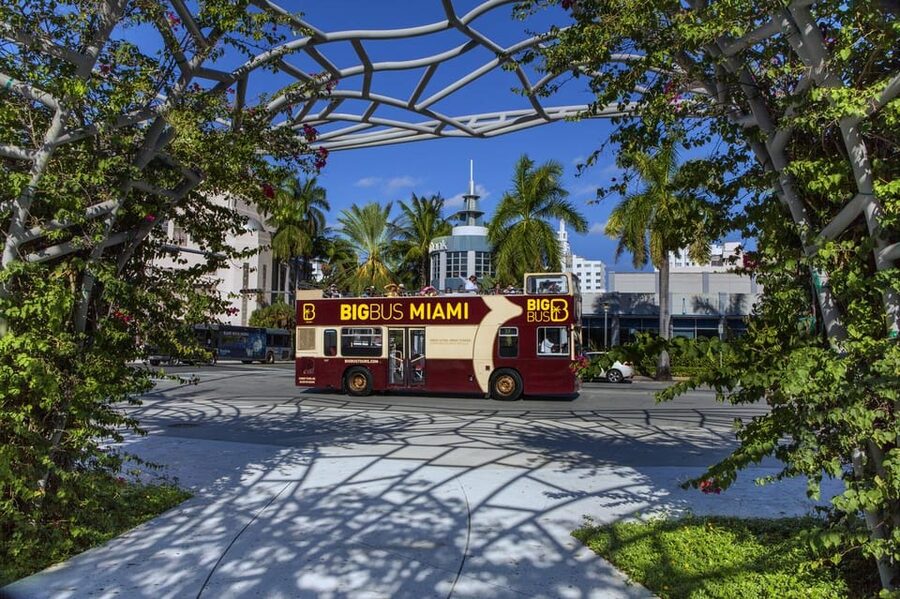 From Miami: Everglades, Wildlife Show, & Hop-on Hop-off Tour - The alligator and wildlife show