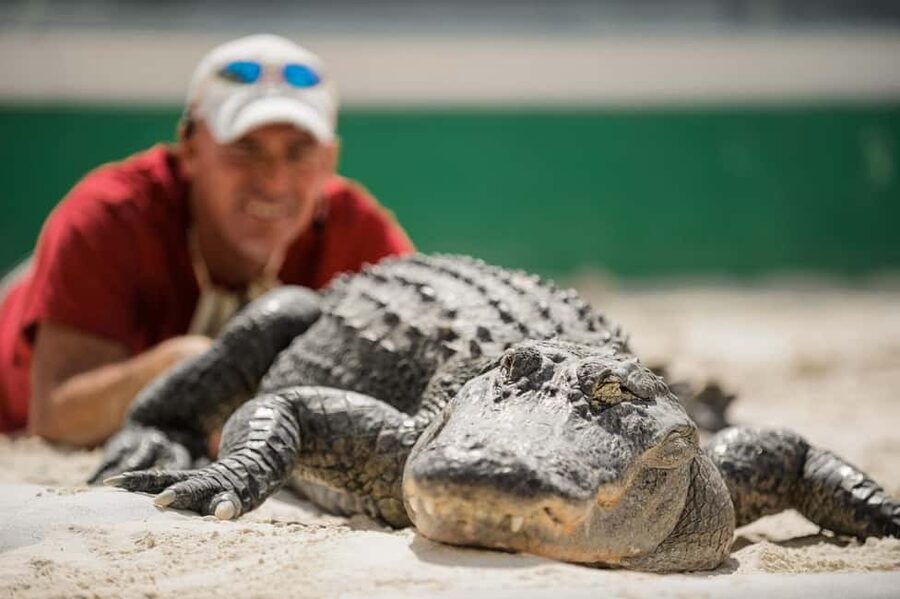 From Miami: Everglades, Wildlife Show, & Hop-on Hop-off Tour - South Beach, Soundscape Park, and the coast
