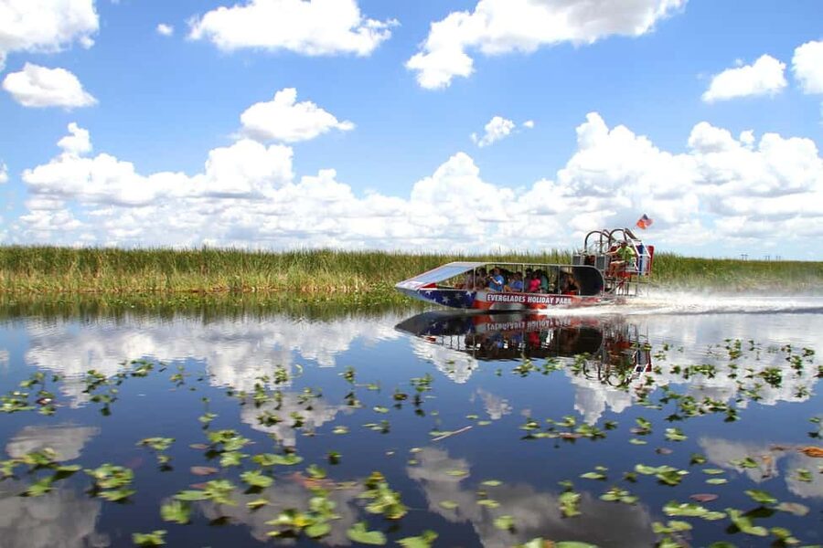 From Miami: Everglades, Wildlife Show, & Hop-on Hop-off Tour - Bayside Marketplace and downtown Miami