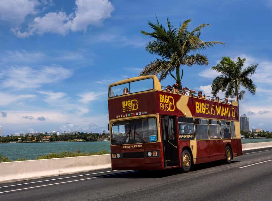 From Miami: Everglades, Wildlife Show, & Hop-on Hop-off Tour - Wynwood Walls and the Design District