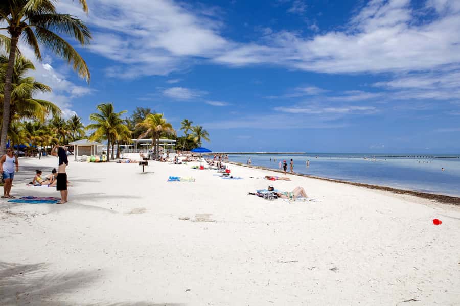 From Miami: Key West Day Tour by Motor Coach Bus - Who should book this Key West day trip?
