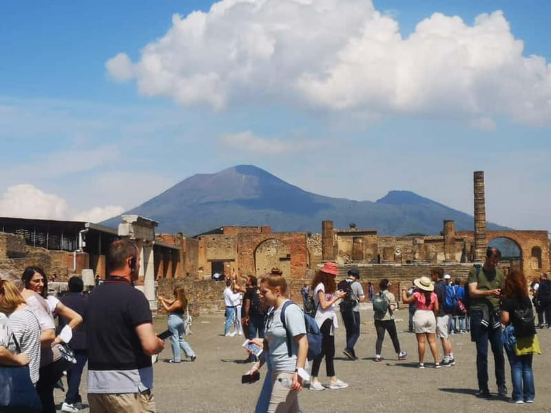 From Naples: Pompeii and Vesuvius by Bus - The pace, staff, and overall organization