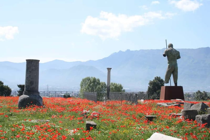 From Naples: Pompeii and Vesuvius by Bus - My verdict: a practical day, with fees and timing to watch