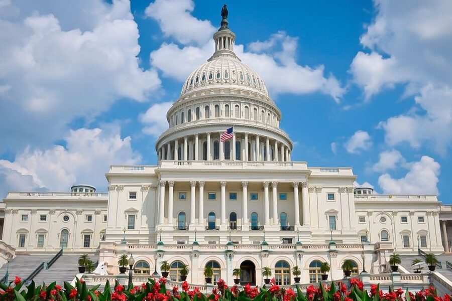 From NYC: Guided Day Trip to Washington DC by Van or Bus - Key points before you book
