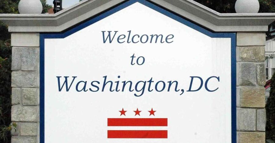 From NYC: Guided Day Trip to Washington DC by Van or Bus - The Capitol and 90 minutes of free time