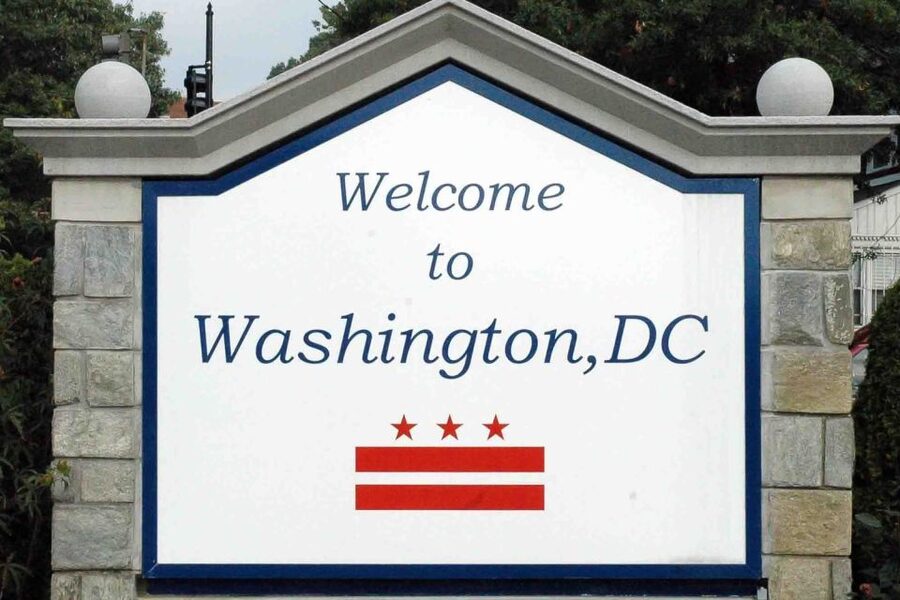 From NYC: Guided Day Trip to Washington DC by Van or Bus - Who should book this trip