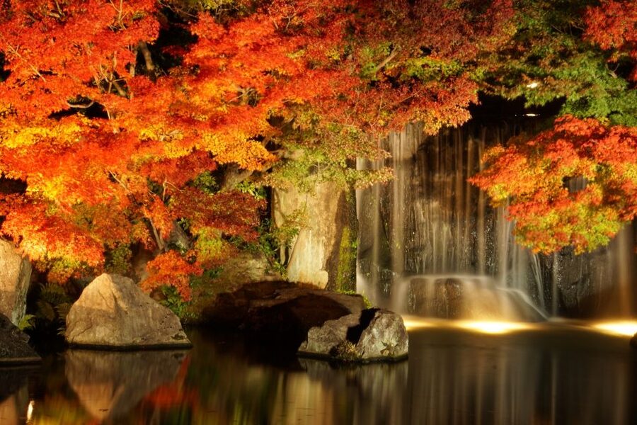 From Osaka: Himeji Castle, Arima Onsen & Mt. Rokko Day Tour - Should you book it?