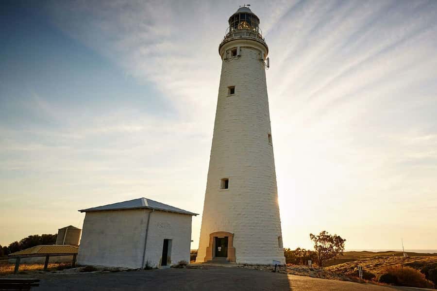 From Perth or Fremantle: Rottnest Island Ferry and Bus Tour - Wadjemup Lighthouse and the island interior