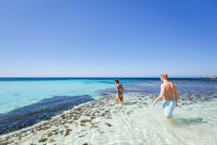 From Perth: Rottnest Island Ferry & Bus Day Tour - Why Rottnest works well as a day trip from Perth