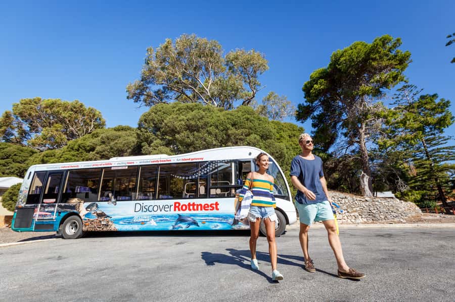 From Perth: Rottnest Island Ferry & Bus Day Tour - Arriving at Thomson Bay and finding the coach