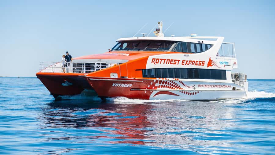 From Perth: Rottnest Island Ferry & Bus Day Tour - Is the $135 price good value?