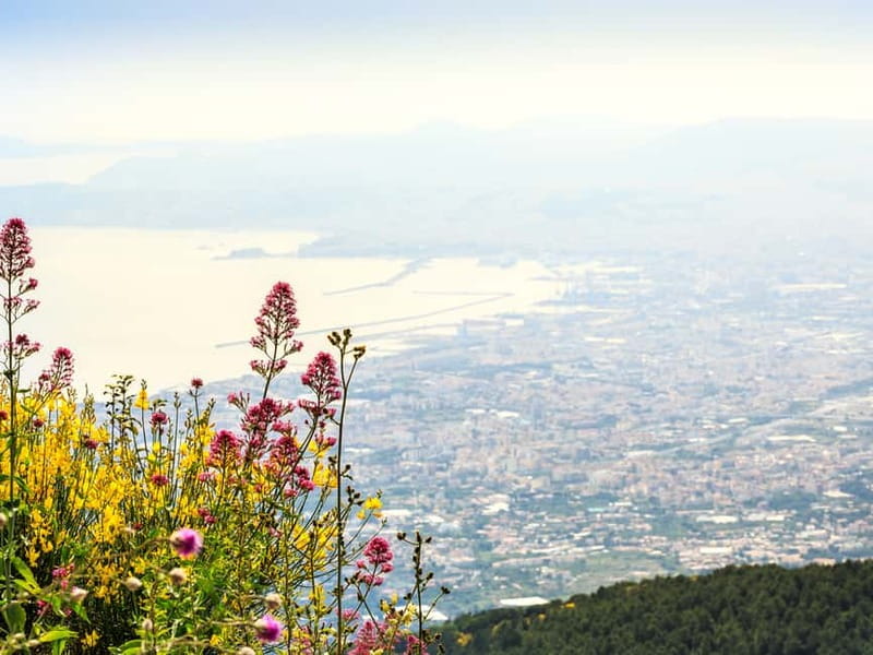 From Pompeii: Mount Vesuvius Hike & Tour by Bus - Key points to know before you book