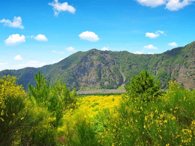 From Pompeii: Mount Vesuvius Hike & Tour by Bus - Reaching Vesuvius from Via Roma 32