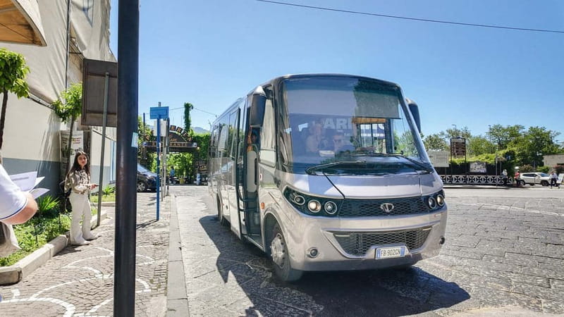 From Pompeii: Mount Vesuvius with bus, ticket and audioguide - Why this bus trip makes Vesuvius easier